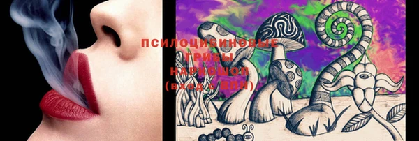 ешки Беломорск