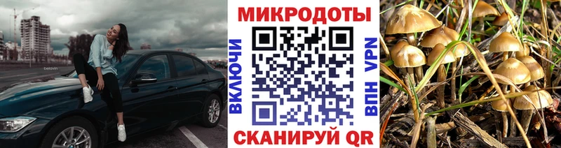 Галлюциногенные грибы ЛСД  хочу   Чухлома 